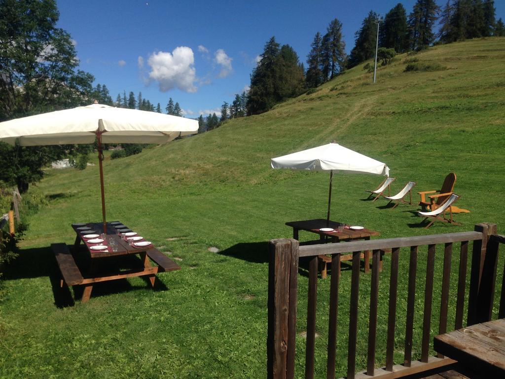 Agriturismo Il Fiocco 切萨纳·都灵尼斯 外观 照片